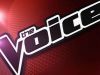 The Voice of HollandAflevering 14